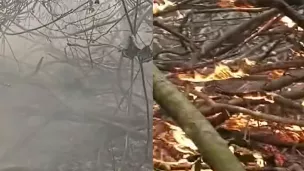 সুন্দরবনে আগুন এখনো নিয়ন্ত্রণে আসেনি