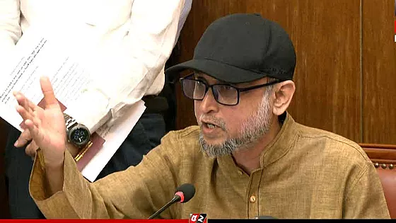 মঙ্গল শোভাযাত্রার নাম পরিবর্তন নিয়ে সিদ্ধান্ত নেবে ঢাকা বিশ্ববিদ্যালয়: সংস্কৃতি উপদেষ্টা
