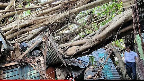 কালবৈশাখী ঝড়ে ঘর ও দোকান বিধ্বস্ত, বিদ্যুৎ বিচ্ছিন্ন কয়েক হাজার মানুষ 