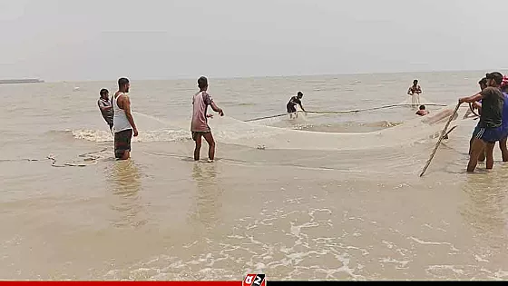 নিষেধাজ্ঞার মধ্যেও সাগরে চলছে নিষিদ্ধ জাল দিয়ে মাছ শিকার