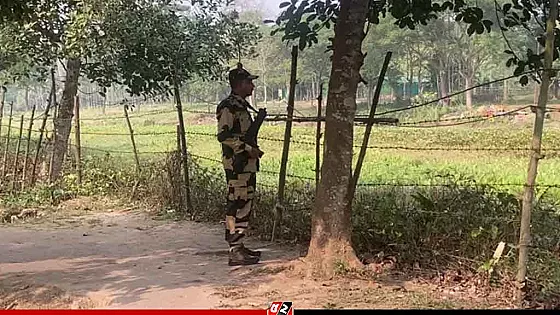 আবারও বিএসএফের গুলিতে বাংলাদেশি নিহত, ভারতীয় নাগরিক আহত