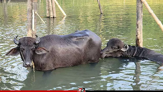 টানা তাপপ্রবাহে অতিষ্ঠ জনজীবন