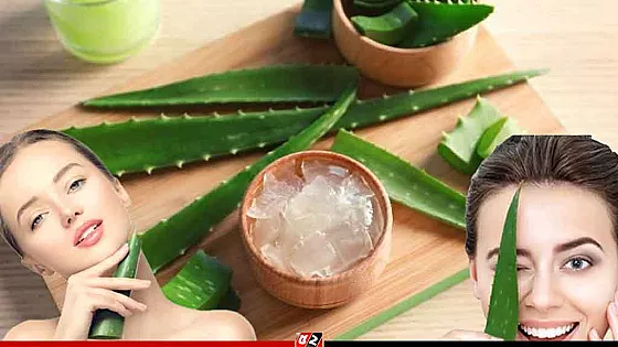 গ্রীষ্মে ত্বকে অ্যালোভেরা জেলের উপকারিতা