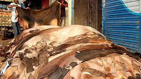 কোরবানির পশুর চামড়ার মূল্য নির্ধারণ