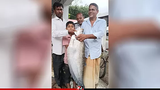 ধরলায় ধরা পড়লো সাত কেজির চিতল