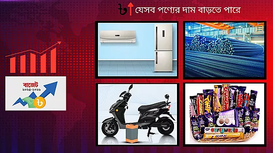 ২০২৫-২৬ বাজেট: দাম বাড়তে পারে যেসব পণ্যের