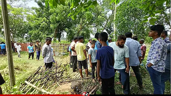 কবর থেকে ৫ কঙ্কাল চুরি