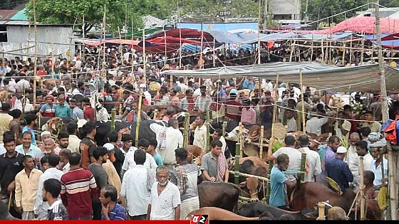 গরুর হাটে অতিরিক্ত খাজনা আদায়