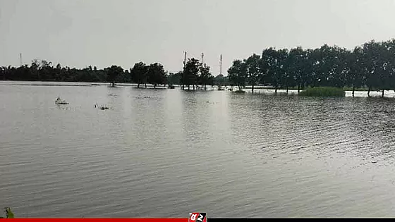 ছেলেকে বাঁচাতে গিয়ে নদীতে তলিয়ে গেলেন মা
