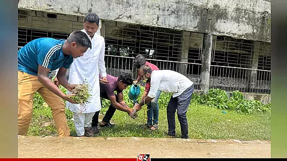 বাউফলে ছাত্রদলের বৃক্ষরোপণ কর্মসূচি অনুষ্ঠিত