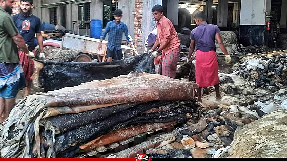 চামড়ার দাম কমার কারণ ব্যাখ্যা করলেন শিল্প উপদেষ্টা