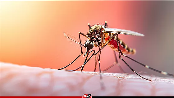 দেশে ২৪ ঘণ্টায় ডেঙ্গু আক্রান্ত ২৮৮