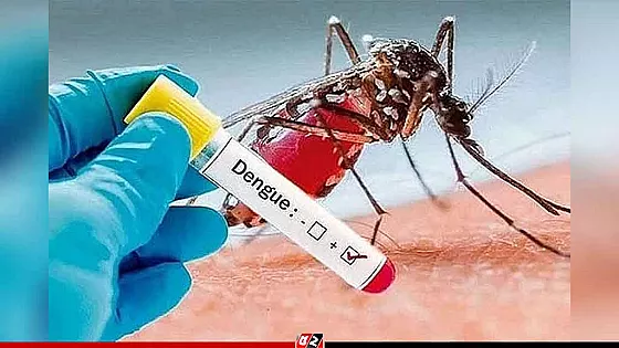 ডেঙ্গুতে আক্রান্ত আরও ১০৮ জন 