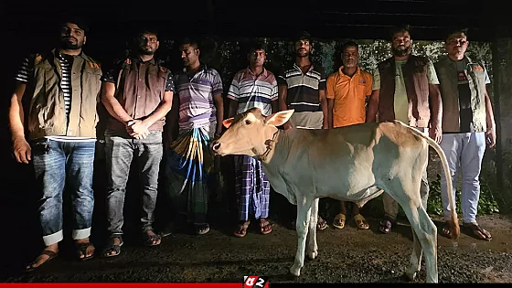 খামারিকে হত্যা করে গরু ডাকাতি, গ্রেপ্তার ৭