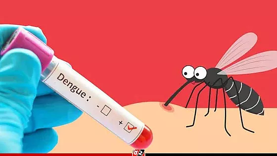 ডেঙ্গু কেড়ে নিলো আরও দুই প্রাণ, হাসপাতালে ৩৯২