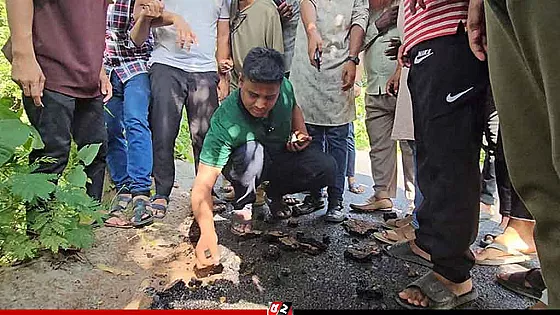 নিম্নমানের কার্পেটিং, কাজ বন্ধ করে দিলেন হাসনাত আব্দুল্লাহ