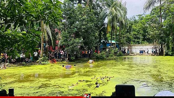 নোয়াখালীর সেই পুকুরে কুমির নিয়ে যা জানালো বন বিভাগ