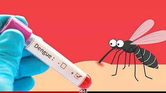 ২৪ ঘণ্টায় ডেঙ্গুতে আরও ২ মৃত্যু, হাসপাতালে ১৫৯