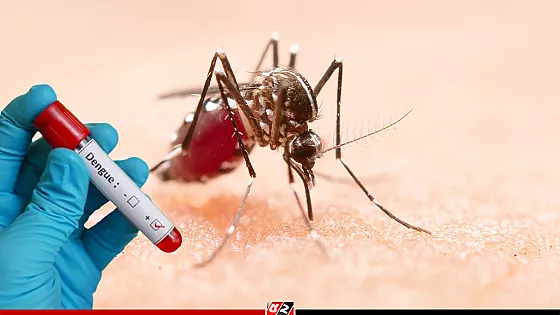 ২৪ ঘণ্টায় ডেঙ্গুতে আরও ১ মৃত্যু, হাসপাতালে ৩৮৩