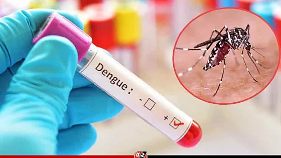 ডেঙ্গু পরীক্ষার ফি নির্ধারণ করলো সরকার