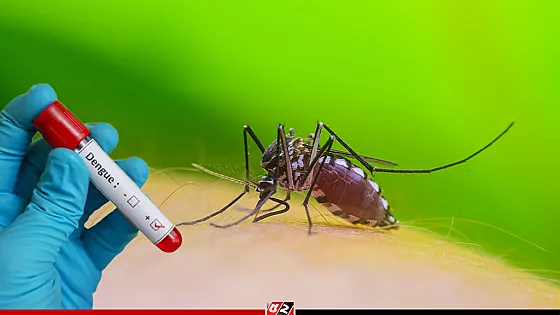 ২৪ ঘণ্টায় ডেঙ্গুতে আরও ১ মৃত্যু, হাসপাতালে ৪১৬