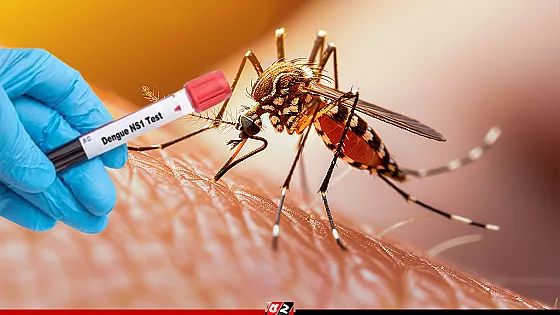 ২৪ ঘণ্টায় ডেঙ্গুতে মৃত্যু ১, হাসপাতালে ৩৫৮