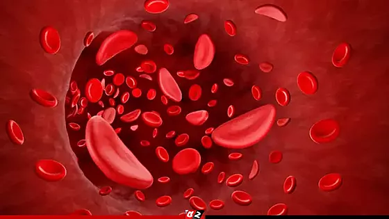 শরীরে কম রক্তের পরিমাণ : লক্ষণ, কারণ ও প্রতিকার