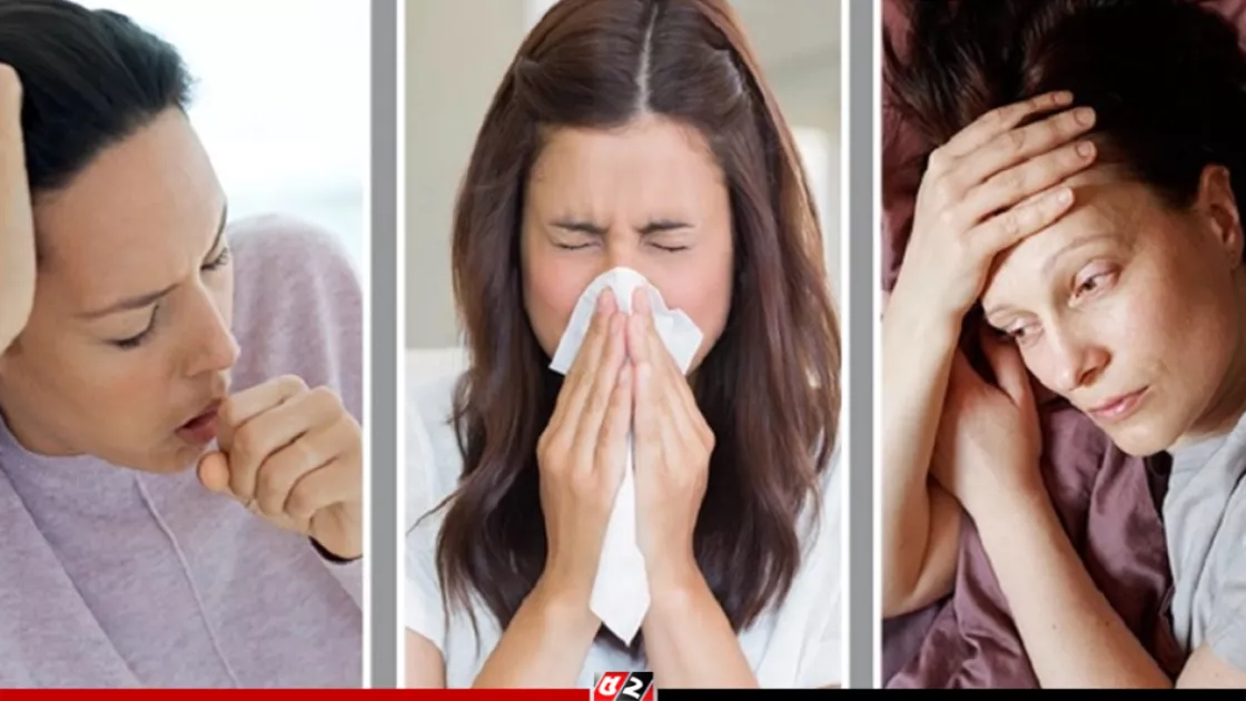 Qirolichangizni onlayn tarzda siking