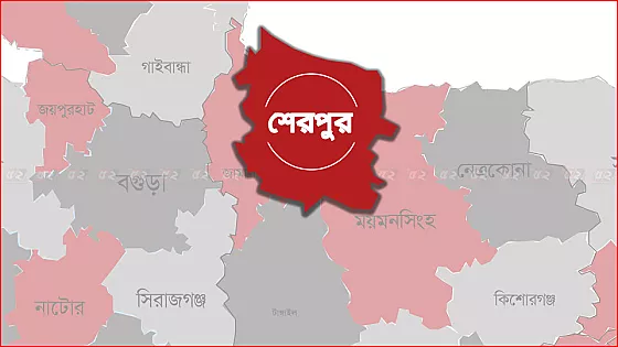 দুই মাইক্রোবাসের মুখোমুখি সংঘর্ষ, আহত ১৭