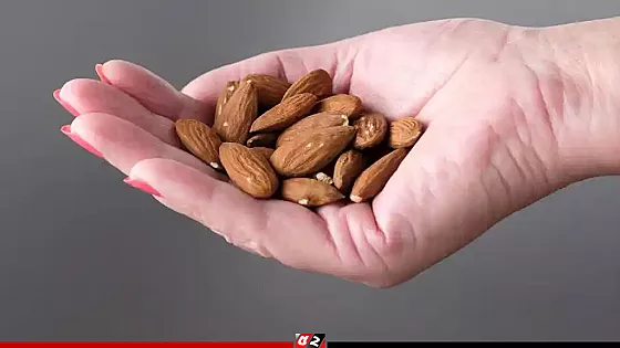 প্রতিদিন এক মুঠো কাঠবাদাম, বাড়াবে স্মৃতি, কমাবে রোগ