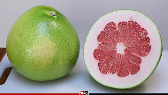 স্বাস্থ্য-সতেজতার ভান্ডার জাম্বুরা 