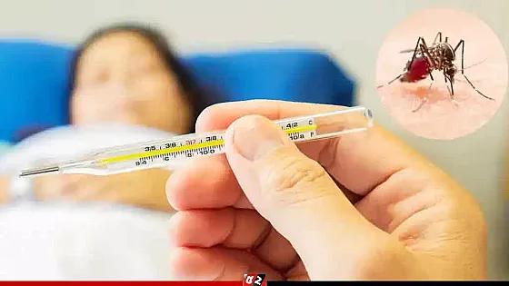 ডেঙ্গুতে মৃত্যু আরও ২ জনের