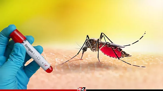 ডেঙ্গুতে আরও ২ জনের মৃত্যু, হাসপাতালে ২৭৯