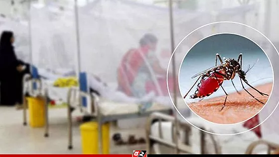 একদিনে ডেঙ্গুতে আরও ৩ জনের মৃত্যু
