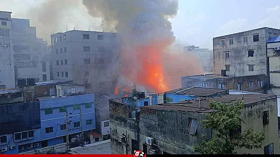 মিরপুরে কেমিক্যাল গোডাউনে আগুনে দগ্ধ হয়ে নিহত ৯