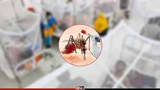 ডেঙ্গুতে আরও ৩ জনের মৃত্যু, হাসপাতালে ৯২৮