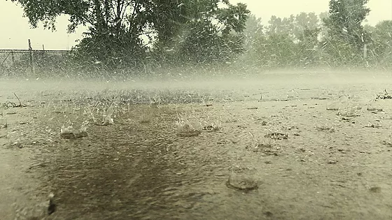 ৩ বিভাগে বজ্রসহ ভারী বৃষ্টিপাতের আভাস