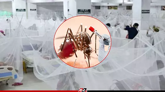ডেঙ্গু আক্রান্ত হয়ে হাসপাতালে ভর্তি ৬৫১ জন