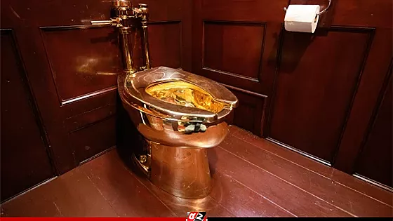 নিলামে উঠলো সোনার টয়লেট, নাম-আমেরিকা