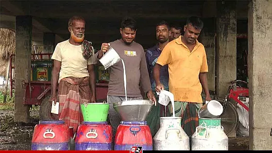 ন্যায্য মূল্যের দাবিতে মিল্কভিটায় খামারিদের দুধ সরবরাহ বন্ধ