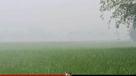 বৃষ্টির পর কুয়াশায় মোড়া হিলি, বাতাসে শীতের আগমনী সুর