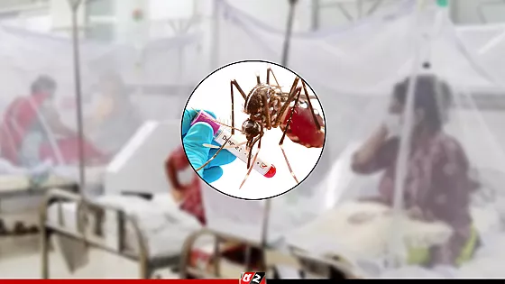 ডেঙ্গুতে ২৪ ঘণ্টায় ১০ জনের মৃত্যু, হাসপাতালে ১০৬৯