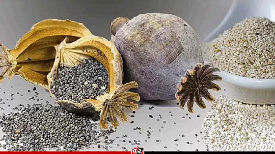 পাকিস্তান থেকে আনা খাদ্যে পণ্যে ২৫ টনই নিষিদ্ধ পপি বীজ