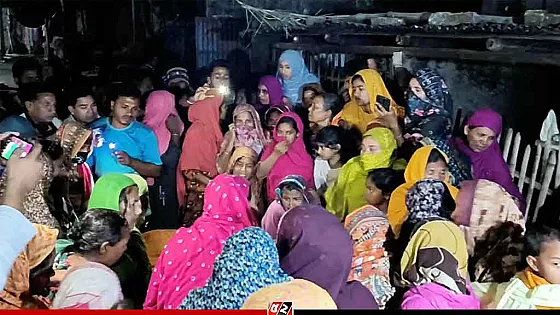 বিলে শাপলা তুলতে গিয়ে দুই বোনসহ চার শিশুর মৃত্যু