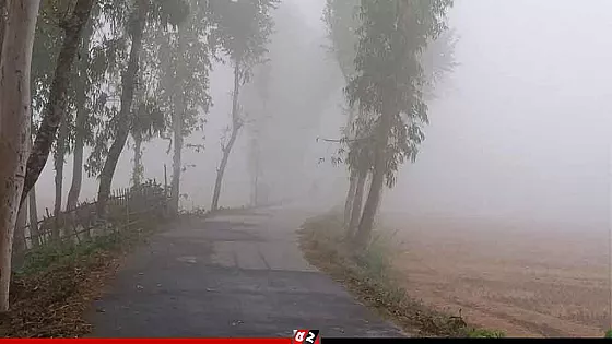 হিমেল হাওয়ায় কাঁপছে পঞ্চগড়, তাপমাত্রা নামল ১২ ডিগ্রিতে