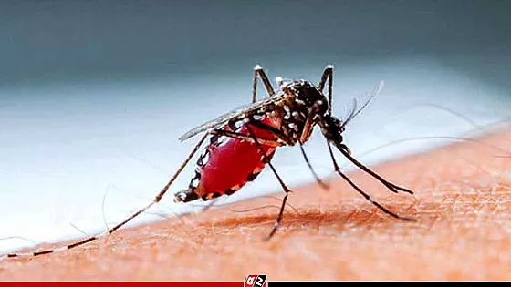 গত ২৪ ঘণ্টায় ডেঙ্গুতে আরও ৫ জনের মৃত্যু