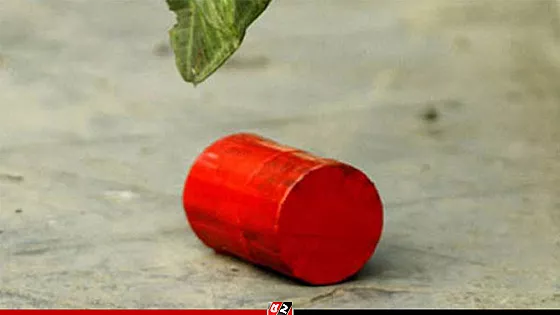 কারওয়ান বাজারে দুটি ককটেল বিস্ফোরণ