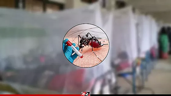 ডেঙ্গুতে প্রাণ হারালো আরও ৪ জন, হাসপাতালে ৯২০