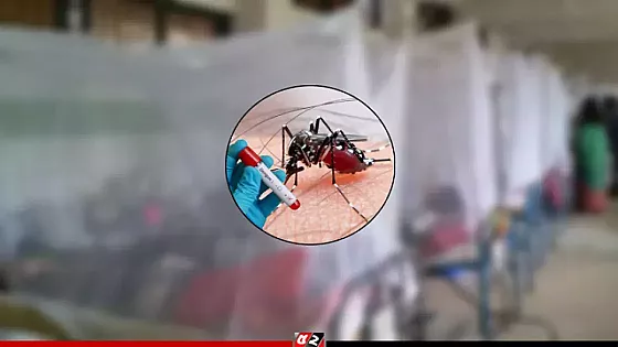 ডেঙ্গুতে আরও ৪ জনের মৃত্যু, হাসপাতালে ৭৪৫   