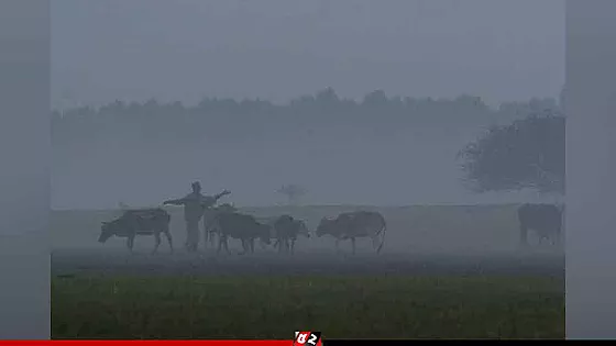 শীতের আগমনে কুয়াশার চাদরে ঢাকা সকাল